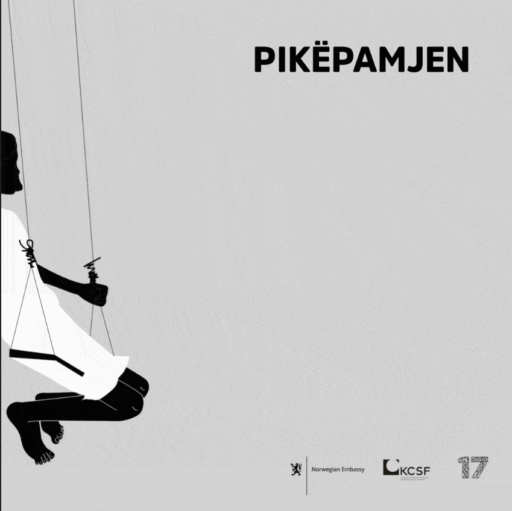 SHKRUAJ PËR PIKËPAMJEN – 16 DITËT E AKTIVIZMIT