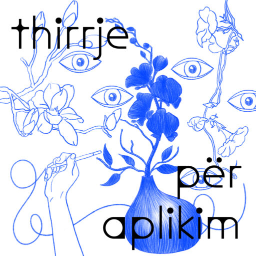 THIRRJE PËR APLIKIM: SHKOLLA PËR MENDIM DHE SHKRIM KRITIK 2023 – PIKËPAMJA