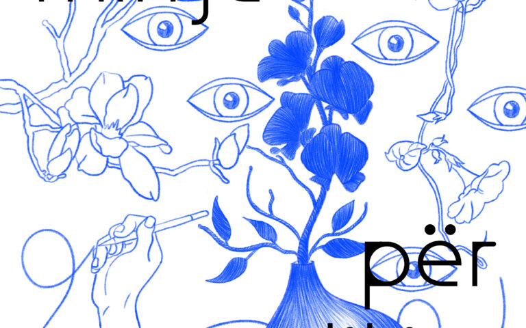 THIRRJE PËR APLIKIM: SHKOLLA PËR MENDIM DHE SHKRIM KRITIK 2023 – PIKËPAMJA