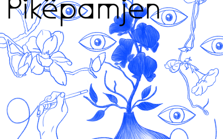 SHKRUAJ PËR PIKËPAMJEN