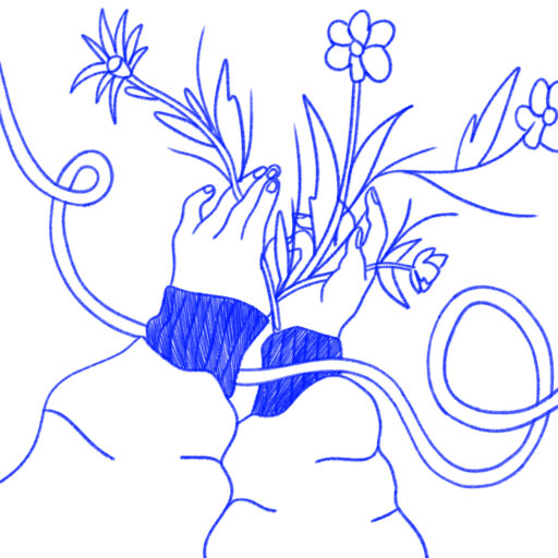 MUNGESA E HAPËSIRAVE ALTERNATIVE NË VITI