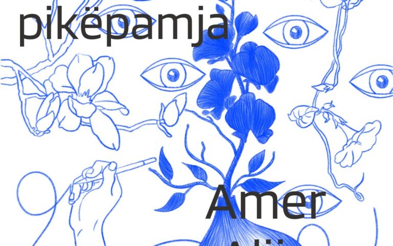 AMER ALIJA, FOLËS NË SHKOLLËN PËR MENDIM DHE SHKRIM KRITIK – PIKËPAMJA