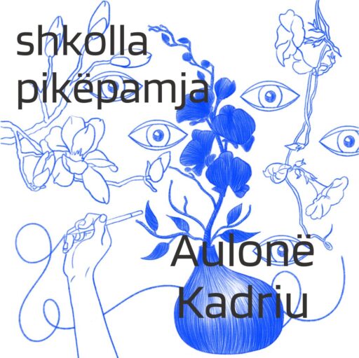 AULONË KADRIU, TRAJNERE NË SHKOLLËN PËR MENDIM DHE SHKRIM KRITIK – PIKËPAMJA