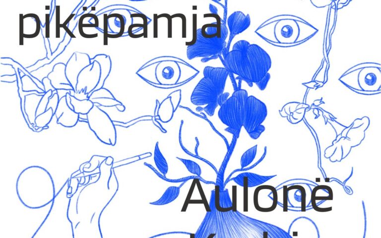 AULONË KADRIU, TRAJNERE NË SHKOLLËN PËR MENDIM DHE SHKRIM KRITIK – PIKËPAMJA